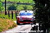 IMG_6239_edited.jpg